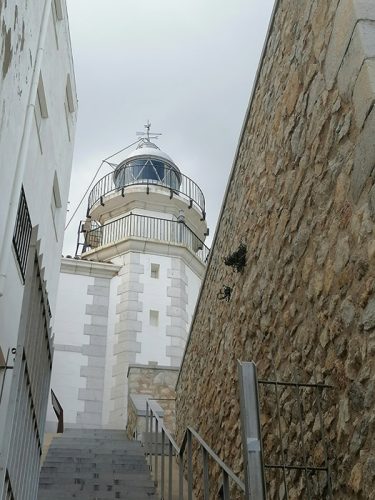 Faro