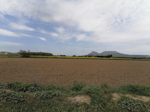 En el camino de vuelta