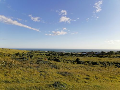 The Downs