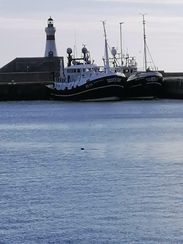 The third lighthouse