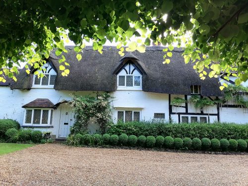 Thatched roof house