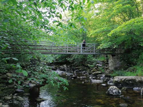 Bridge