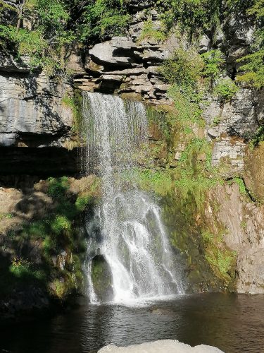 Thorton Force