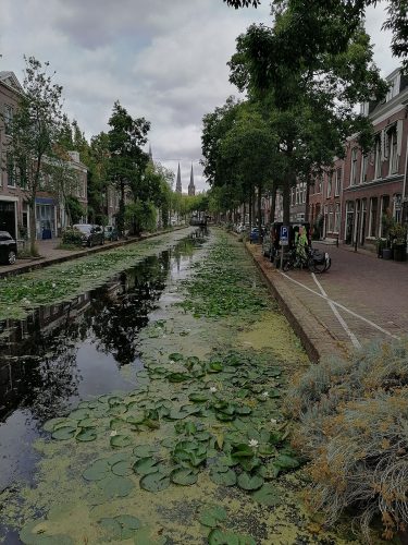 Canal