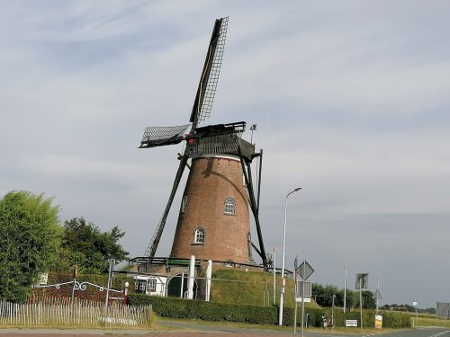 El molino