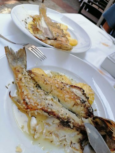 John dory & sea bass
