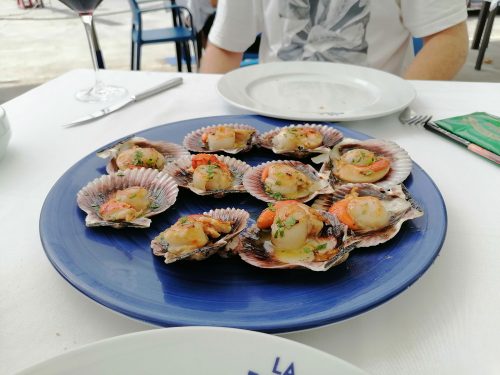 Scallops