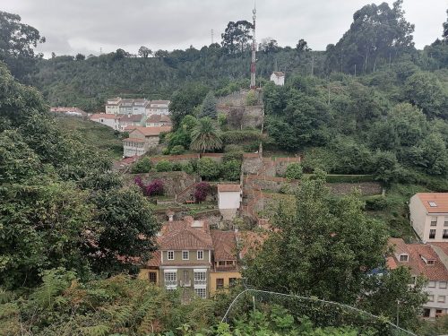 View from the path