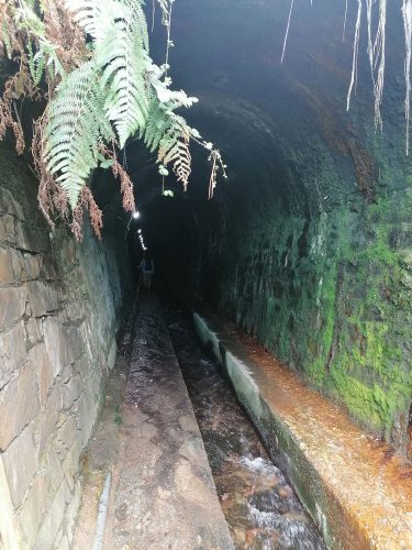 Tunnel