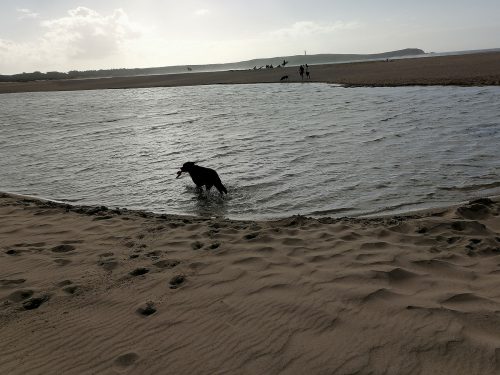 Asha in the lagoon