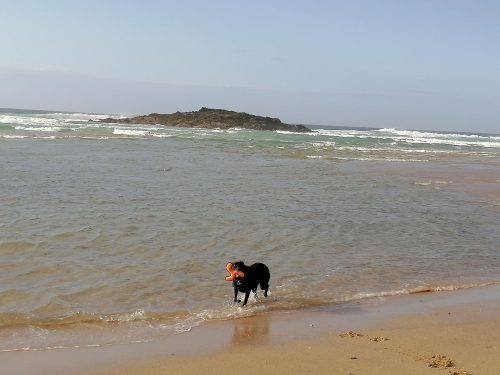 Asha playing on the beach