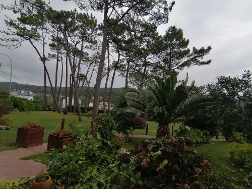 Jardin del restaurante