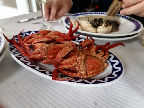 Velvet crabs