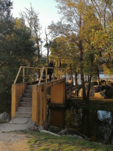 Puente para cruzar a la isla