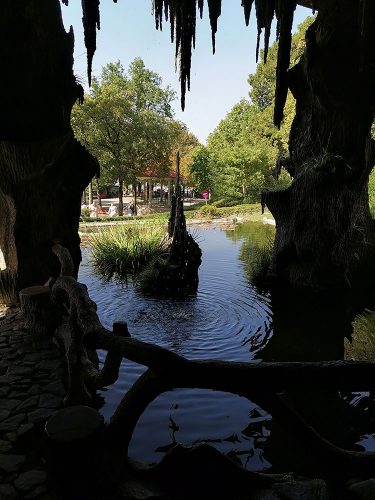 Vista desde dentro de la cueva
