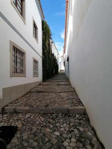 Going up to the castle