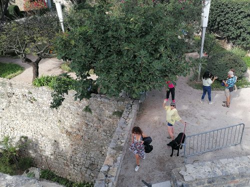 View from the top of the wall