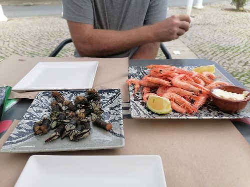 Prawns and barnacles