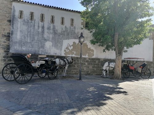 Típicos carruajes de caballos