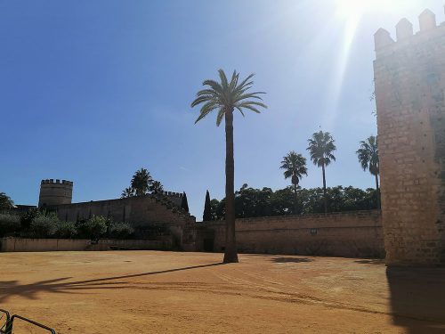 Dentro del Alcazar