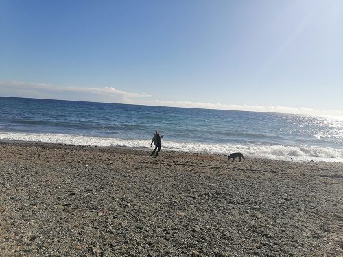 Ben y Asha jugando en la playa
