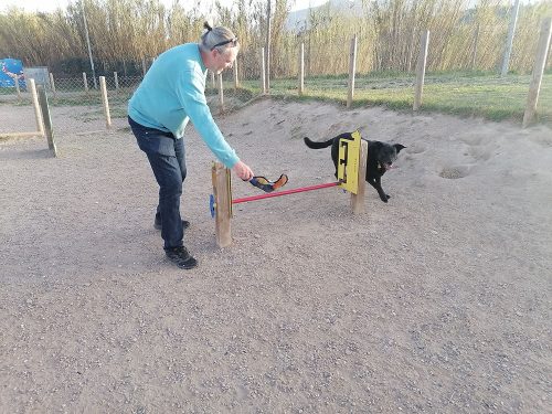 She does not want to jump