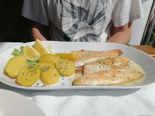 Sea bass with boiled potatoes