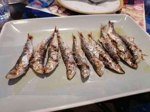 Sardinas
