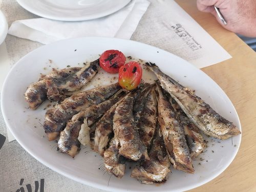Sardines