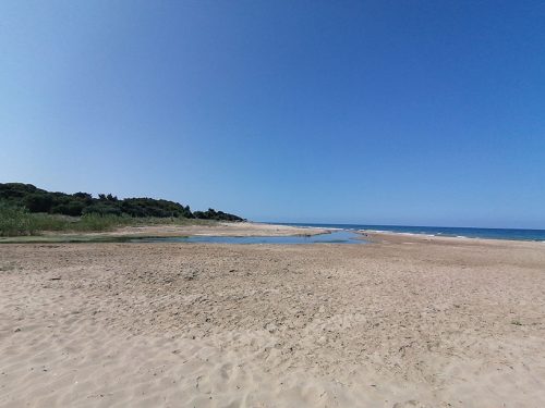 Camping Beach