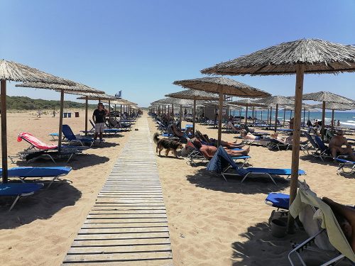Free sunbeds
