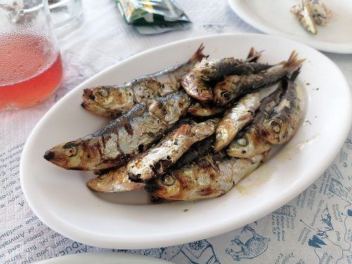 Sardines