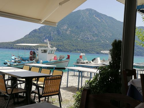 The view from our table