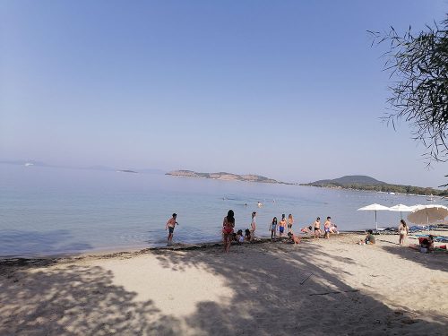 Playa