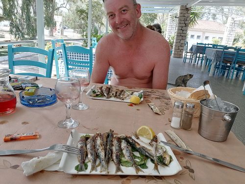 Sardinas