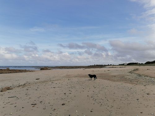 Playa al lado del camping