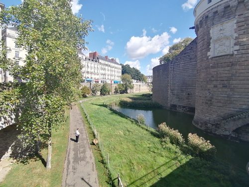 Moat