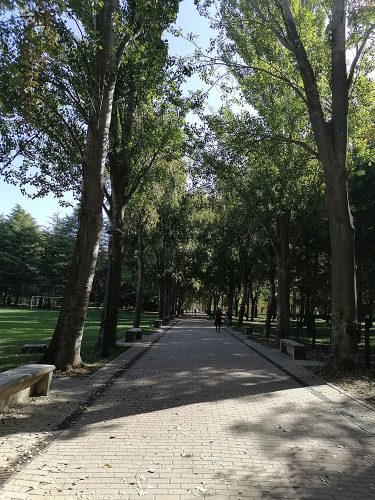Park