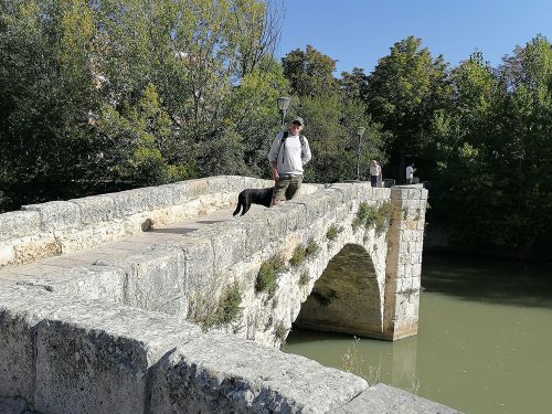 Crossing
