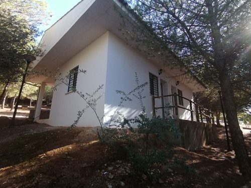 Facilities