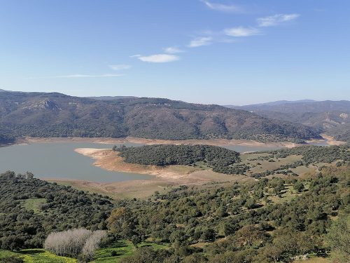 Vistas desde el balcón 