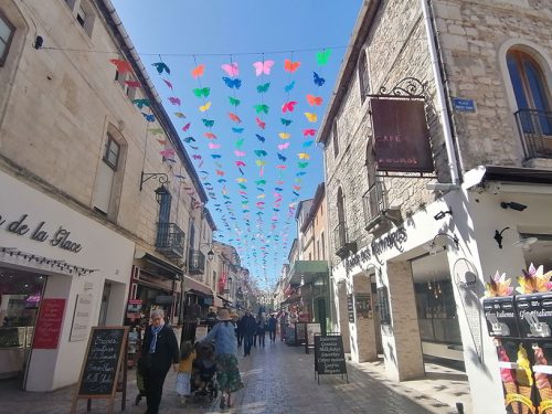 Streets decorated with butterflies