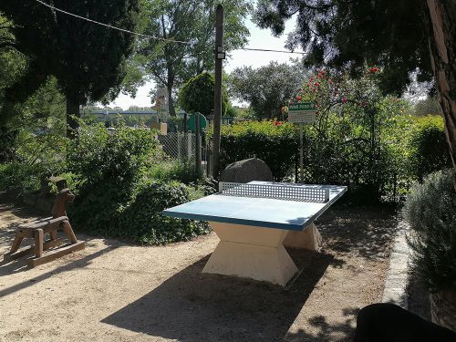 Ping Pong Table