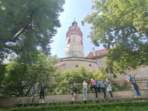 People watching the bears