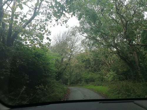 Road to arrive to the cliffs