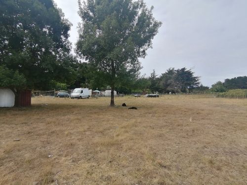 Recinto de las ovejas y cabras