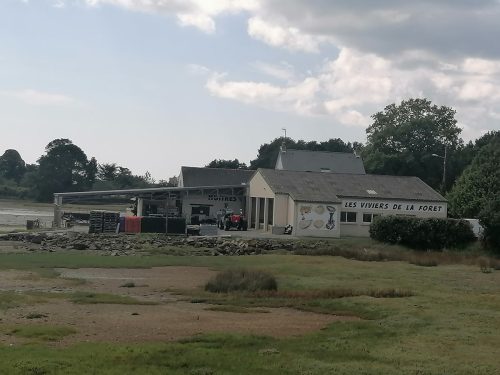 Fish pond we visited