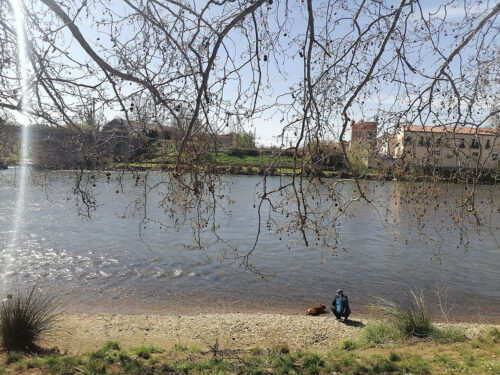 On the Canal du Midi