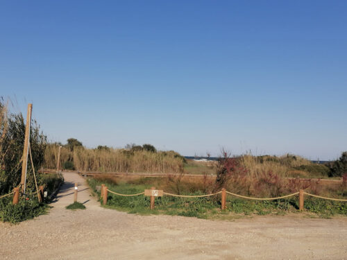 Camino desde el área a la playa