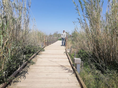 Otro camino a la playa